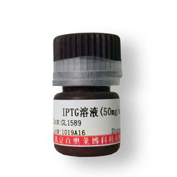 蛋白生化缓冲液