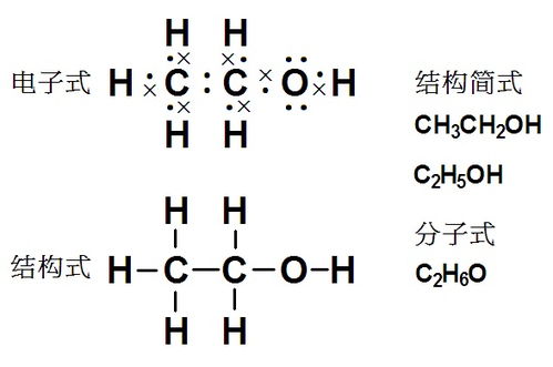 鸡蛋加白酒不能补身体,但是其中的这一生物化学反应,拯救了无数人